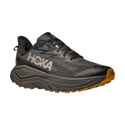 Men's Challenger 8 GTX Shoes