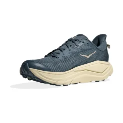 Men's Challenger 8 Shoes