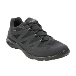 Men’s Ecco Terracruise Lt GTX Shoes