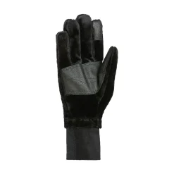Women's Plushy Windguardian Gloves